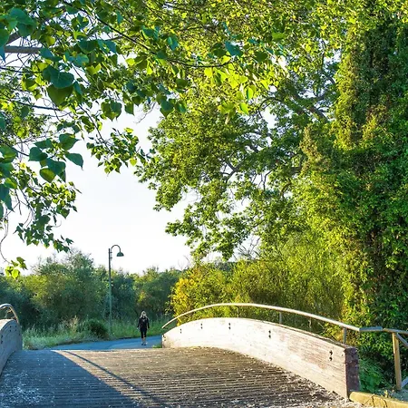 Mediterranea * チヴィタノーヴァ・マルケ