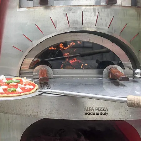 Mediterranea * チヴィタノーヴァ・マルケ